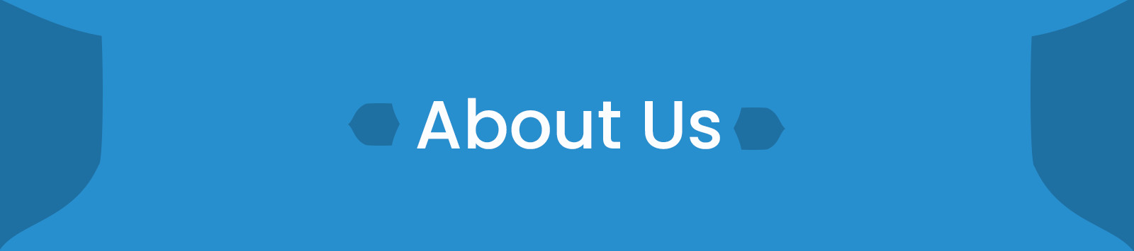 About Balaji Security Servicess Banner