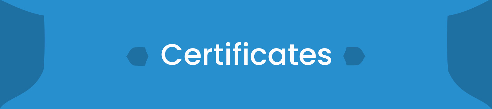 About Balaji Security Services Banner