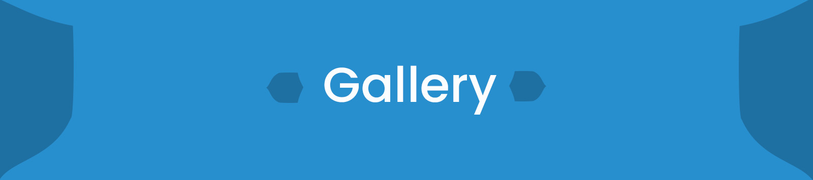 About Balaji Security Services Banner